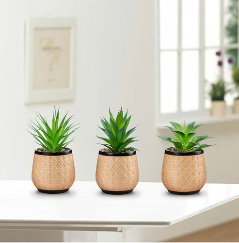 Mini Ceramic Pot Succulent Trio: Lifelike Artificial Succulent Arrangement - Set of 3