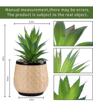 Load image into Gallery viewer, Artificial Succulent Plants Potted, Small Fake Succulents in Ceramic Pots - 3PCS