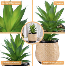 Load image into Gallery viewer, Artificial Succulent Plants Potted, Small Fake Succulents in Ceramic Pots - 3PCS