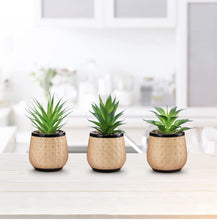 Load image into Gallery viewer, Artificial Succulent Plants Potted, Small Fake Succulents in Ceramic Pots - 3PCS