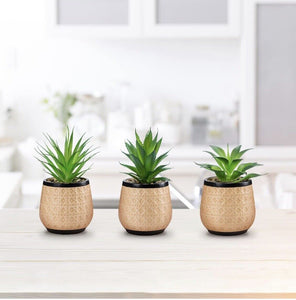 Artificial Succulent Plants Potted, Small Fake Succulents in Ceramic Pots - 3PCS