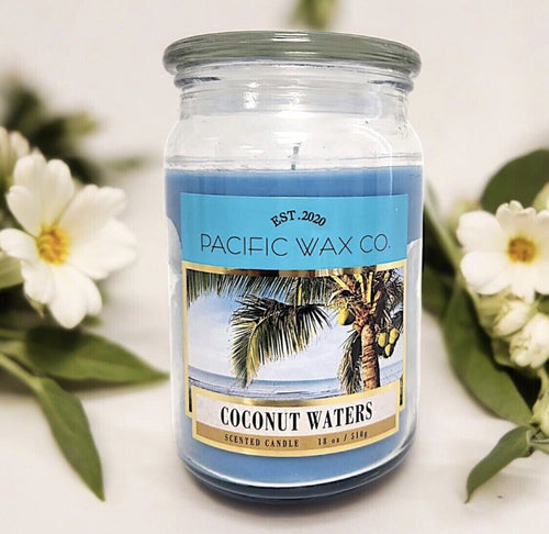 Aromatic Jar Candle,Novelty Scented Perfume,95 Hours Burn Time (Coconut Water )