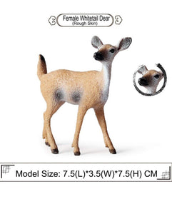 Animal Figures-6pcs Realistic White Tailed Deer Figurines Plastic Forest  Animal