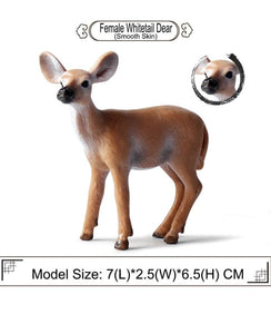 Animal Figures-6pcs Realistic White Tailed Deer Figurines Plastic Forest  Animal