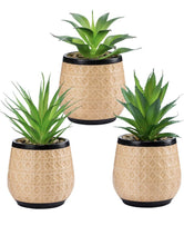 Load image into Gallery viewer, Artificial Succulent Plants Potted, Small Fake Succulents in Ceramic Pots - 3PCS