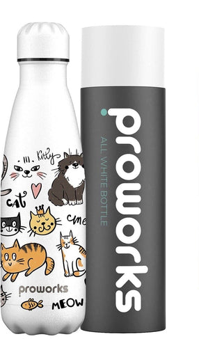 Metal Water Bottle Stainless Steel Water Bottle Great for Work, Gym, Travel